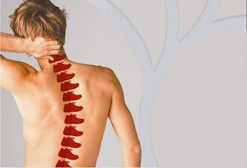 便攜式骨密度儀價(jià)格